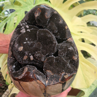 Cathedral Septarian Egg (19.9 lbs _ S-421)