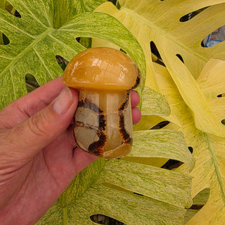 Septarian Mushroom (9.94 oz _ SL-428)
