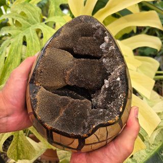 Cathedral Septarian Egg (17.6 lbs _ S-450)