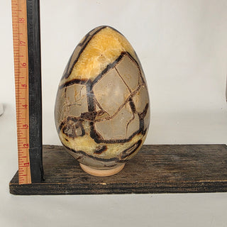 Septarian Dragon Egg (10.6 lbs _ S-452)