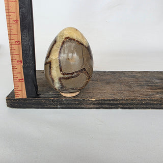 Septarian Dragon Egg (1.4 lbs _ SL-468)