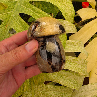 Septarian Sphere (13.61 oz _ SL-475)