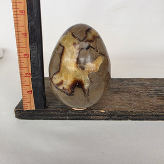 Septarian Dragon Egg (2.4 lbs _ SL-481)