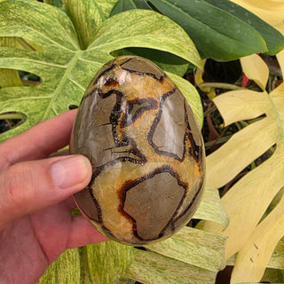 Septarian Dragon Egg (2.4 lbs _ SL-481)