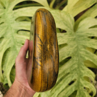 Tiger's Eye Quartz (6.41 lbs _ S-91)