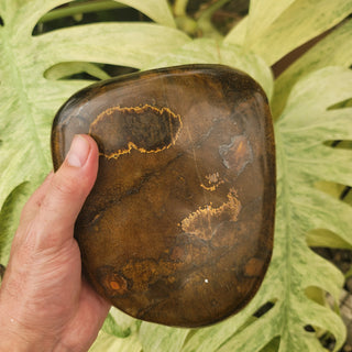 Tiger's Eye Quartz (6.41 lbs _ S-91)