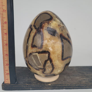 Septarian Egg (9.7 lbs _ S-105)