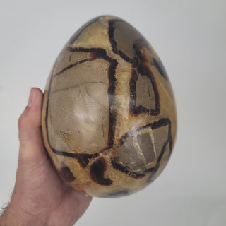 Septarian Egg (9.7 lbs _ S-105)