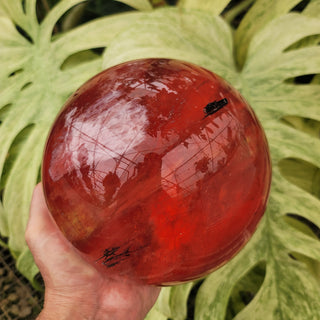 Red Glass Sphere (11.24 lbs _ S-112)