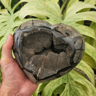 Druzy Septarian Heart (6.74 lbs _ S-120)