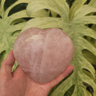 Rose Quartz Heart (2.41 lbs _ SL-152)