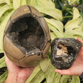 Druzy Septarian Cathedral - Two Pieces (15.75 lbs _ S-183)