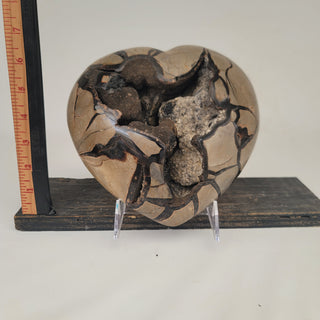 Druzy Septarian Heart (9.5 lbs _ S-185)
