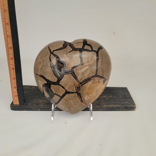 Druzy Septarian Heart (9.5 lbs _ S-185)