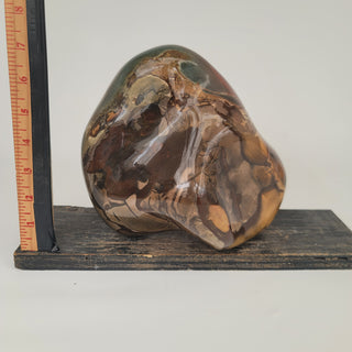 Polychrome Jasper (10.8 lbs _ S-209)
