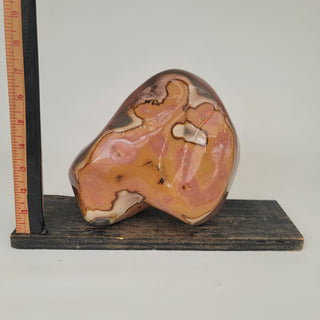 Polychrome Jasper (10.8 lbs _ S-209)
