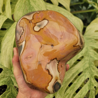 Polychrome Jasper (10.8 lbs _ S-209)