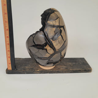 Druzy Septarian (12.31 lbs _ S-212)