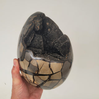 Druzy Septarian (12.31 lbs _ S-212)