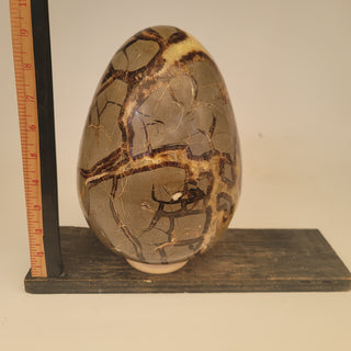 Septarian Egg (18.0 lbs _ S-241)