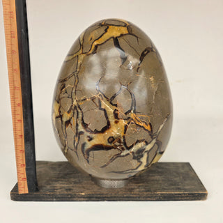 Septarian Egg (34.4 lbs _ S-553)