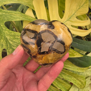 Septarian Heart (13.23 oz _ SL-559)
