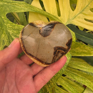 Septarian Heart (10.70 oz _ SL-560)