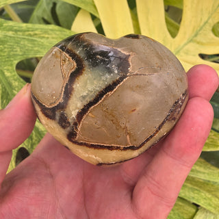 Septarian Heart (9.30 oz _ SL-563)