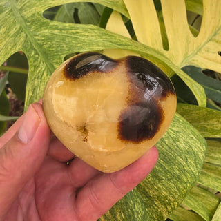 Septarian Heart (7.74 oz _ SL-565)