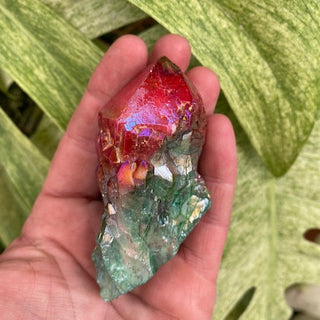 Hand holding a colorful crystal against a green leafy background