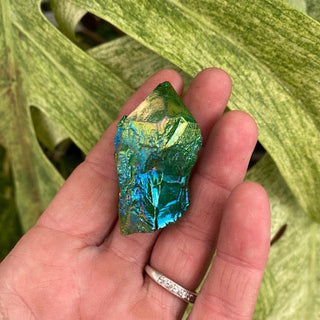 Hand holding a colorful crystal in front of a green leafy background