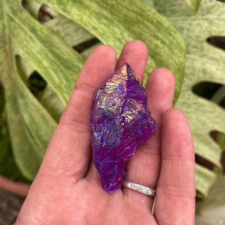 Hand holding a purple crystal with green leaves in the background