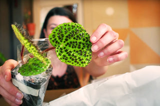 Unboxing with Summer Rayne