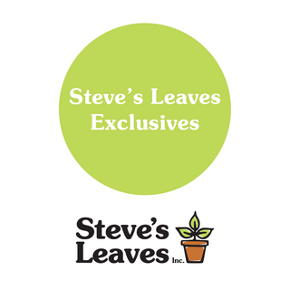 Steve's Leaves Exclusives