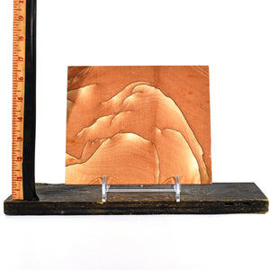 Sandstone Slab (1.4 Lb)