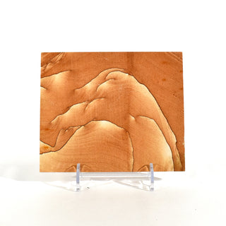 Sandstone Picture Stone Deco Piece, Utah (1.4 lbs _ SL-24)
