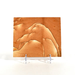 Sandstone Picture Stone Deco Piece, Utah (1.4 lbs _ S-24)