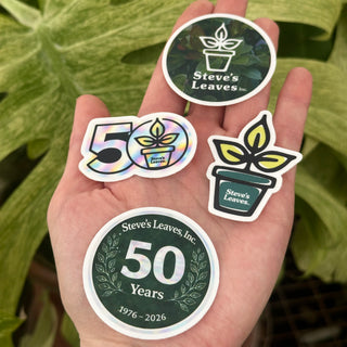 Steve's Leaves Mini Sticker - 4 Pack