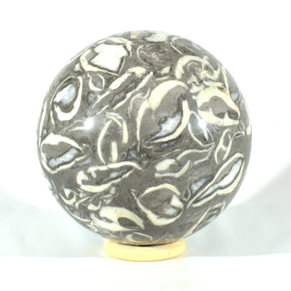 Clam Shell Marble Sphere (22 lbs _ S-8)