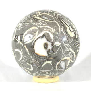 Clam Shell Marble Sphere (22 lbs _ S-8)