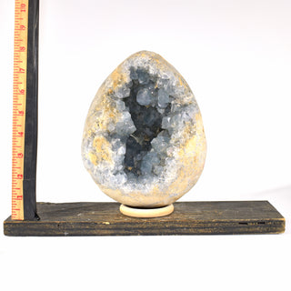 Celestite Teardrop Geode (11.8 lbs _ S-3)