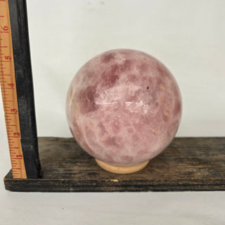 Pink spherical object on a wooden shelf with a ruler below