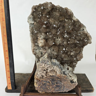 Large smokey quartz formation on a wooden stand with a ruler for scale against a white background