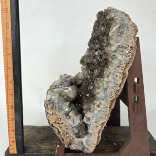 Smokey quartz  on a stand with a ruler for scale against a white background
