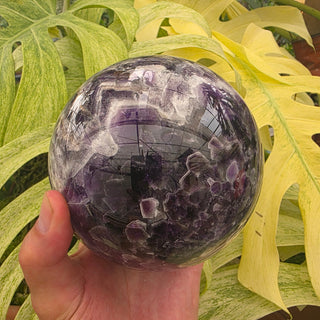 Hand holding a purple crystal ball with green leaves in the background