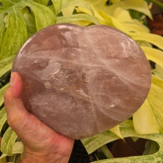 Man's Hand holding a rose quartz heart shape weighing 9.3 lbs