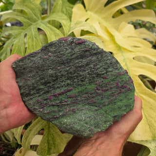 Person holding a textured green stone with plants in the background