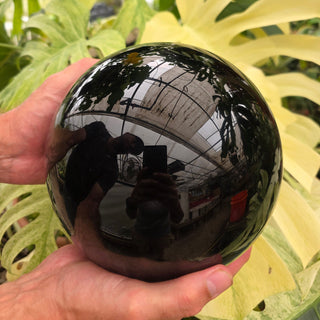 Man holding large obsidian sphere in front of green plants