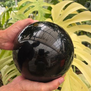 Person holding a large obsidian sphere with green leaves in the background