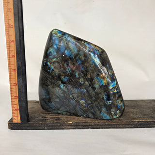 Polished labradorite stone with a ruler for scale on a white background